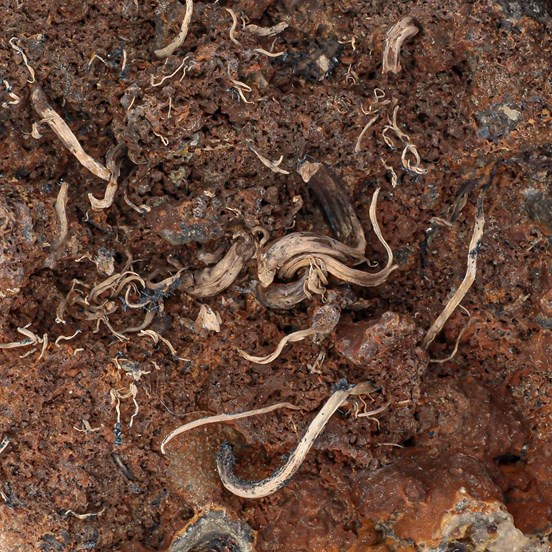 Silver-Jachymov | Krušné Hory | Karlovy Vary Region |  Czech Republic